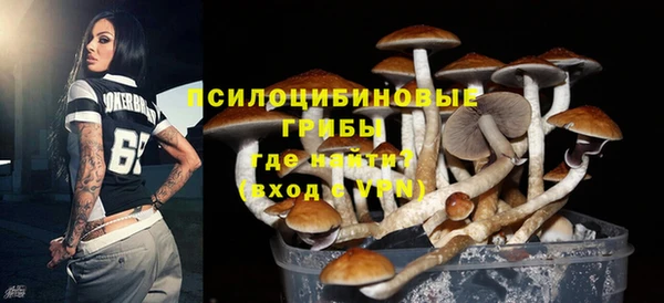 прущий лед Белокуриха